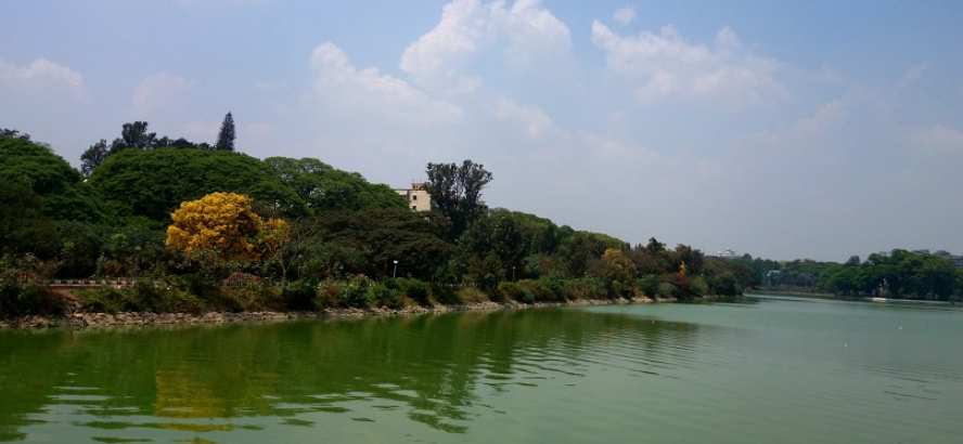 Konanahalli Kere, Mandya, Karnataka - Vushii.com